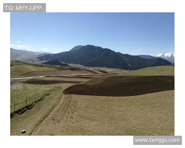 【聚集十五运会·青海时间】青海“小李广”纷繁上赛场 【聚集十五运会·青海时间】青海“小李广”纷繁上赛场