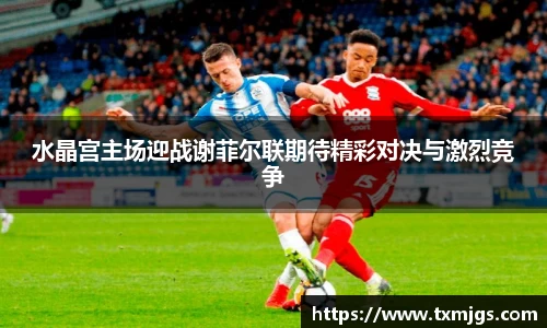 米兰体育官方网站